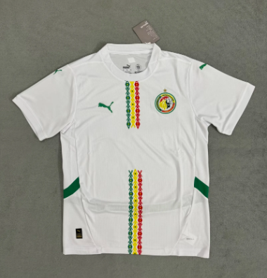 MESSI Argentina World Cup Champion Edition Jersey Home Player Version 2022 Unboxing Review