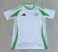 MESSI Argentina World Cup Champion Edition Jersey Home Player Version 2022 Unboxing Review