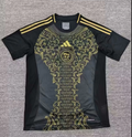 MESSI Argentina World Cup Champion Edition Jersey Home Player Version 2022 Unboxing Review