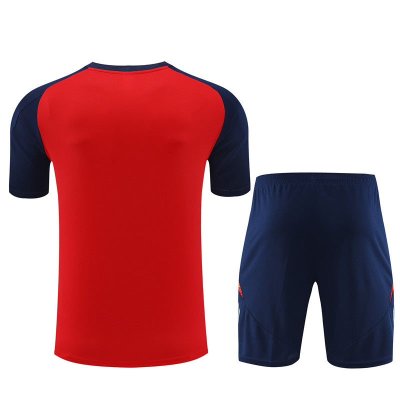 Spain Retro Soccer Jersey Away Replica World Cup 2010 Unboxing Review