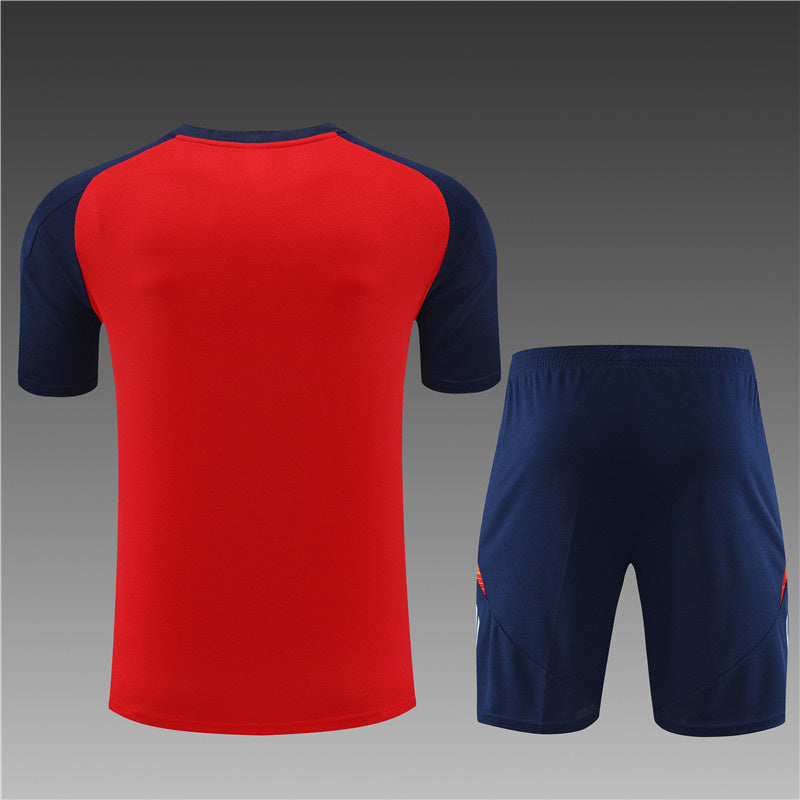 Spain Retro Soccer Jersey Away Replica World Cup 2010 Unboxing Review