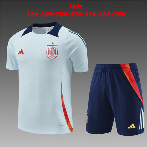 Spain Retro Soccer Jersey Away Replica World Cup 2010 Unboxing Review