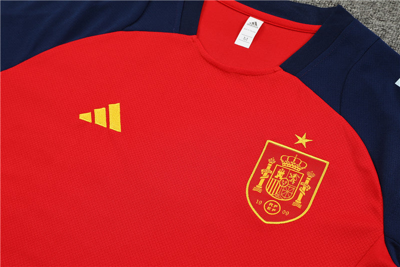 Spain Retro Soccer Jersey Away Replica World Cup 2010 Unboxing Review