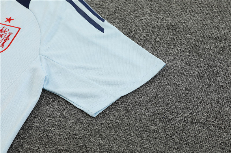 Spain Retro Soccer Jersey Away Replica World Cup 2010 Unboxing Review