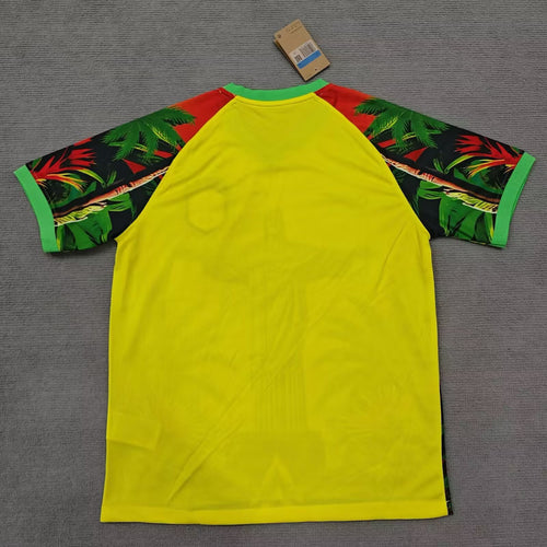 Brazil Goalkeeper Jersey Goalkeeper 2024/25
