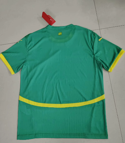 MESSI Argentina World Cup Champion Edition Jersey Home Player Version 2022 Unboxing Review