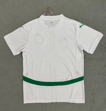 MESSI Argentina World Cup Champion Edition Jersey Home Player Version 2022 Unboxing Review
