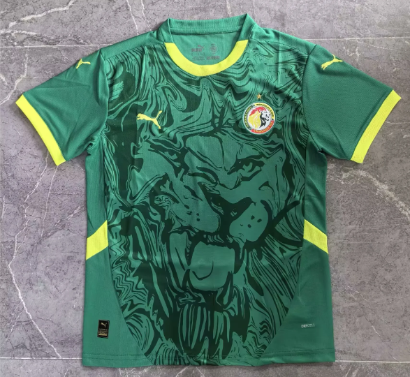 MESSI Argentina World Cup Champion Edition Jersey Home Player Version 2022 Unboxing Review