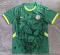 MESSI Argentina World Cup Champion Edition Jersey Home Player Version 2022 Unboxing Review