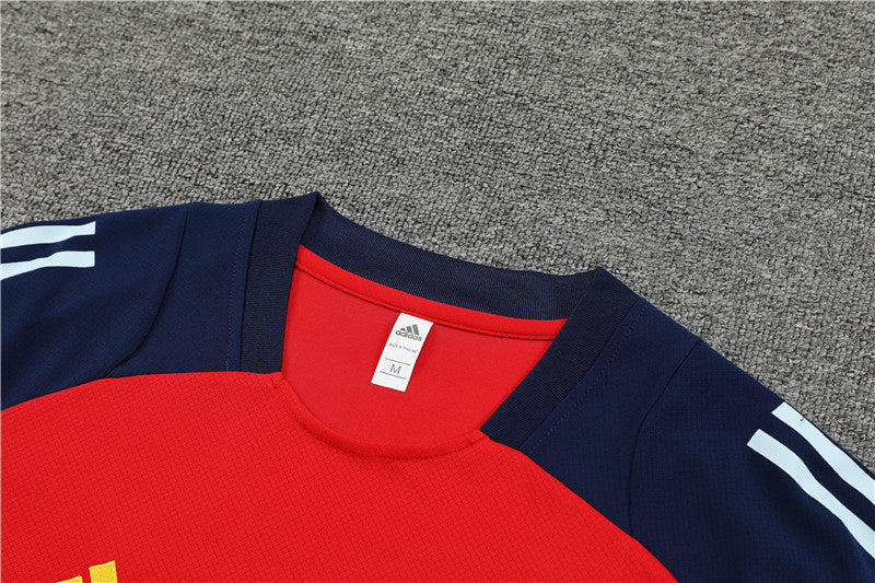 Spain Retro Soccer Jersey Away Replica World Cup 2010 Unboxing Review