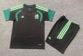 Real Sociedad Home Jersey 2023/24