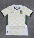 MESSI Argentina World Cup Champion Edition Jersey Home Player Version 2022 Unboxing Review