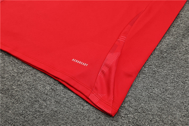 Spain Retro Soccer Jersey Away Replica World Cup 2010 Unboxing Review