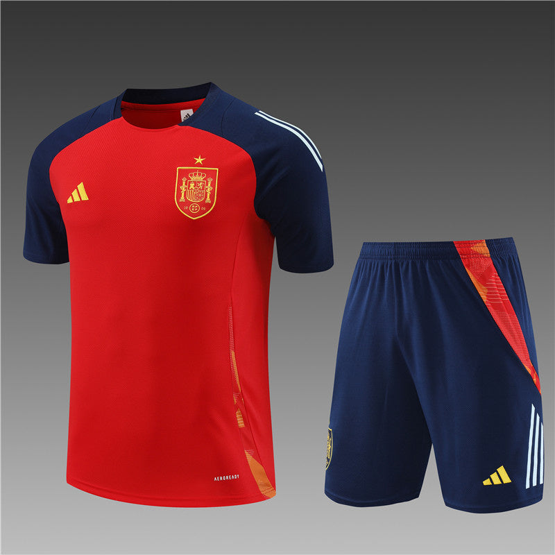 Spain Retro Soccer Jersey Away Replica World Cup 2010 Unboxing Review