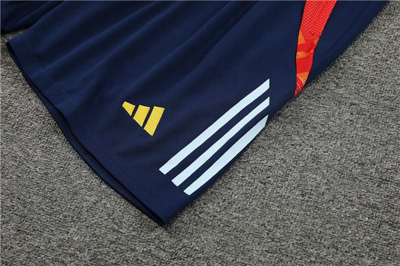 Spain Retro Soccer Jersey Away Replica World Cup 2010 Unboxing Review