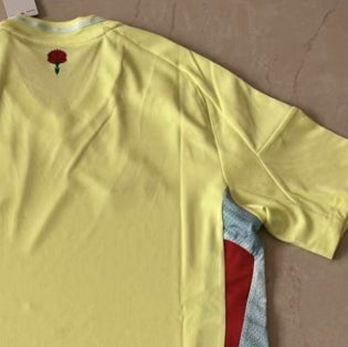 Spain Retro Soccer Jersey Away Replica World Cup 2010 Unboxing Review