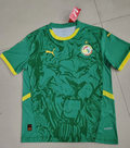 MESSI Argentina World Cup Champion Edition Jersey Home Player Version 2022 Unboxing Review