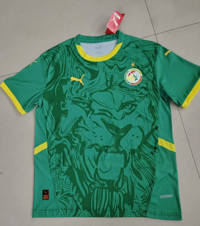 MESSI Argentina World Cup Champion Edition Jersey Home Player Version 2022 Unboxing Review