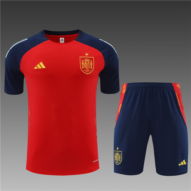 Spain Retro Soccer Jersey Away Replica World Cup 2010 Unboxing Review