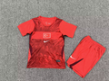 Real Sociedad Home Jersey 2023/24