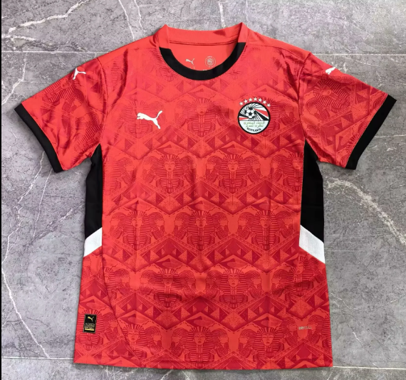 MESSI Argentina World Cup Champion Edition Jersey Home Player Version 2022 Unboxing Review