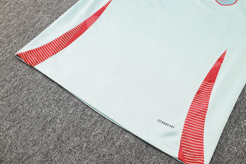 Spain Retro Soccer Jersey Away Replica World Cup 2010 Unboxing Review