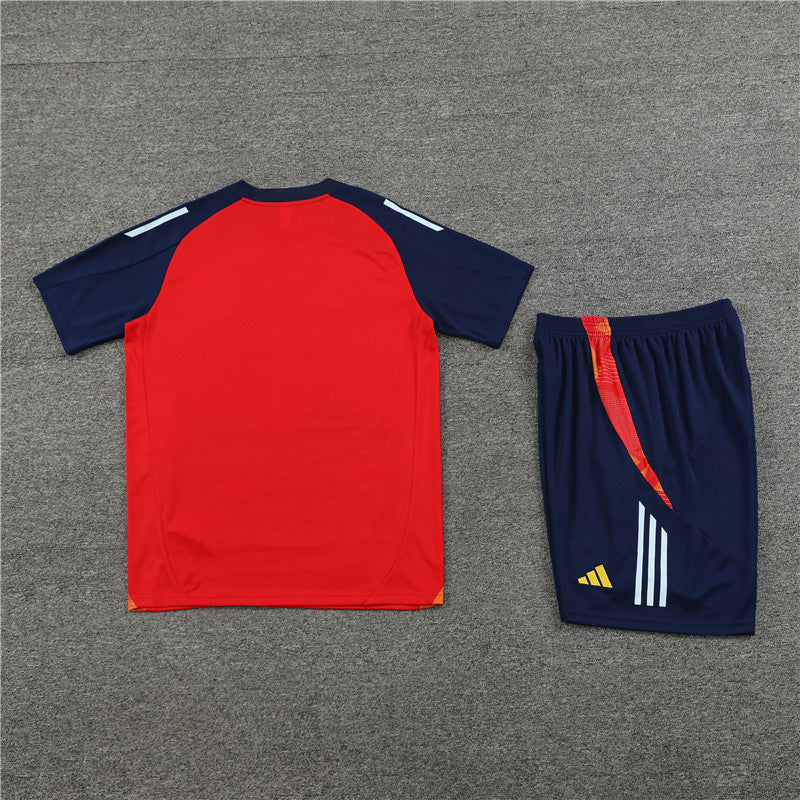 Spain Retro Soccer Jersey Away Replica World Cup 2010 Unboxing Review
