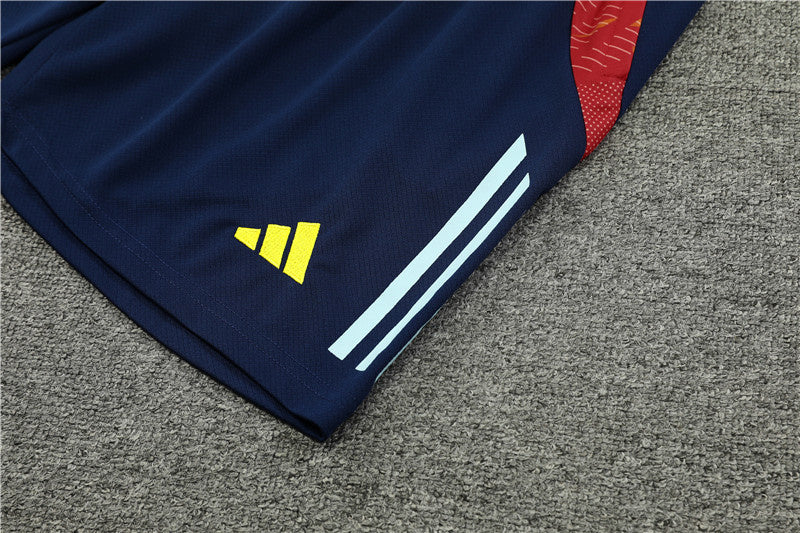 Spain Retro Soccer Jersey Away Replica World Cup 2010 Unboxing Review